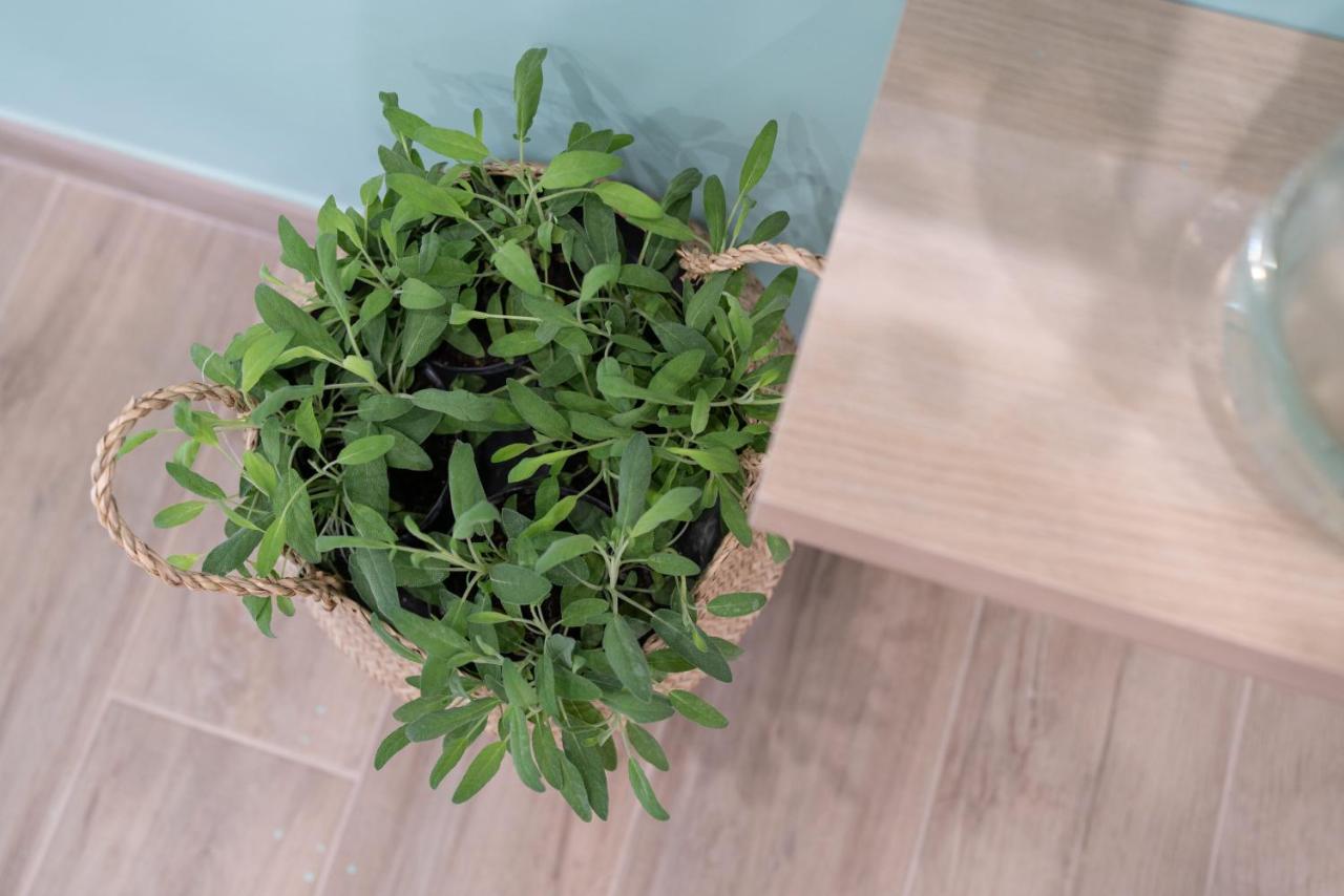 Viva Apartment Sorrento Bagian luar foto